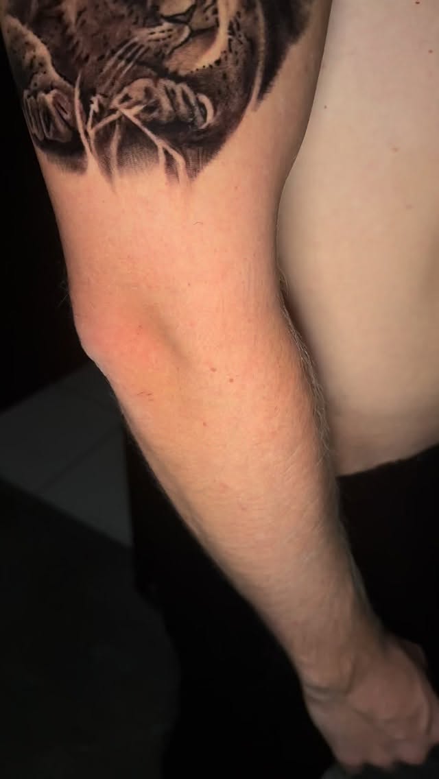 👉 ADRIEN renseignement en mp 
@adrientattoonoumea
#noumea #tattoo #tatouage#newcaledonia #pacifictattoo#tattooartist #tattooing #adrientatouagenc #inklife #tattooink #tattoonoumea