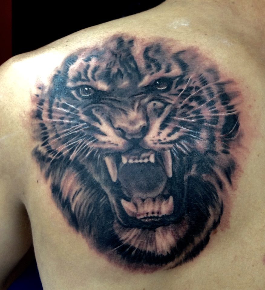 C2lSbPcHQy+hspSJN2CuRg_thumb_a6e