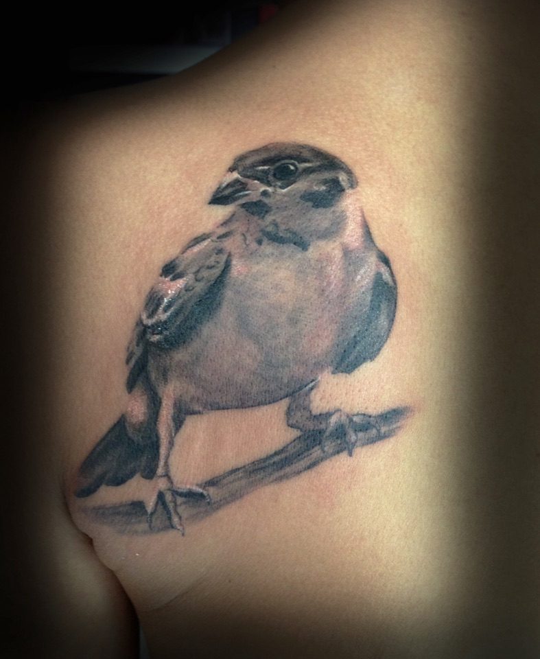 jOSfUkGASwCm5DTqFiVRZA_thumb_aa1