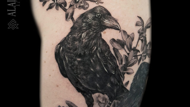 corbeau-tatouage-noumea-crow-tattoo-sydney (1)