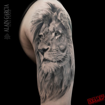 lion-tatouage-noumea-tattoo-sydney (1)