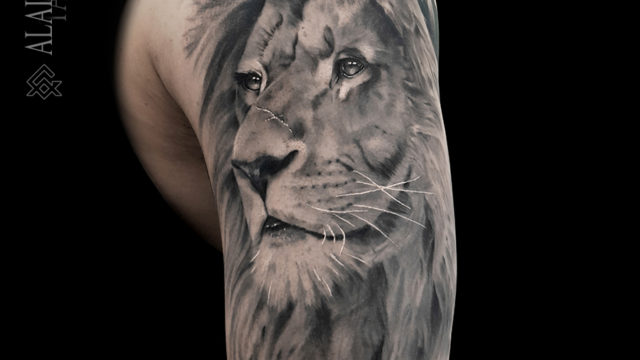 lion-tatouage-noumea-tattoo-sydney (1)