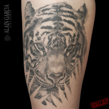 tigre-noumea-tatouage-tiger-tattoo