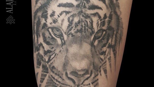 tigre-noumea-tatouage-tiger-tattoo