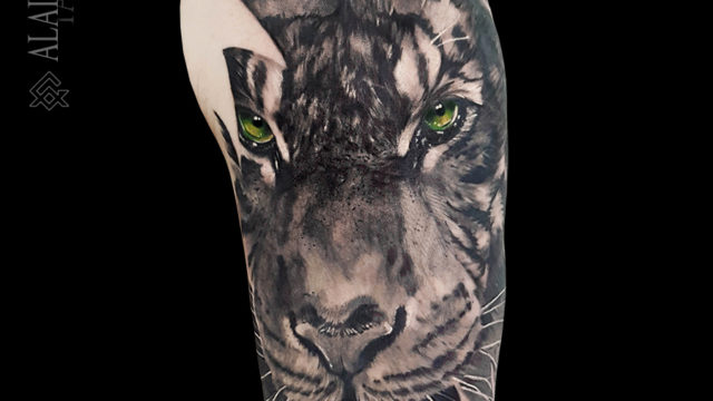 tigre-tatouage-noumea-tiger-tattoo-sydney