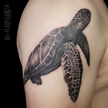 tortue-noumea-tatouage-turtle-tattoo