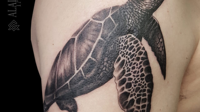 tortue-noumea-tatouage-turtle-tattoo