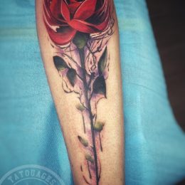 Rose rouge et tige en couleur sur l'avant-bras