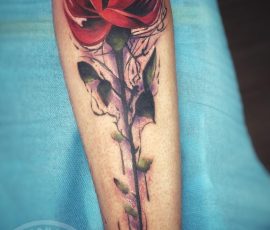 Rose rouge et tige en couleur sur l'avant-bras