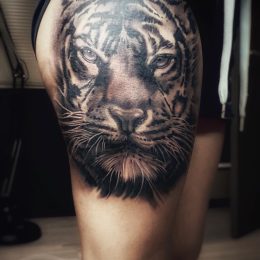 Tigre en noir et gris sur la cuisse