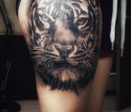 Tigre en noir et gris sur la cuisse