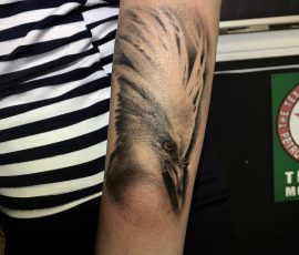 Aile en noir et gris sur le bras