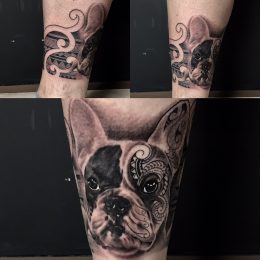 Portrait de bouledogue et ornements en noir et gris