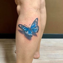 Papillon bleu en couleur sur le mollet