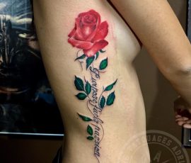 Rose rouge et lettrage en couleur sur les côtes