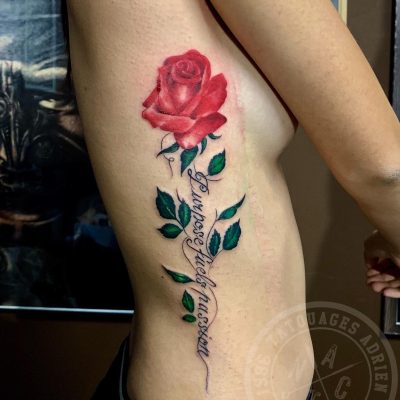 Rose rouge et lettrage en couleur sur les côtes