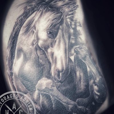 Portrait de cheval en réalisme noir et gris