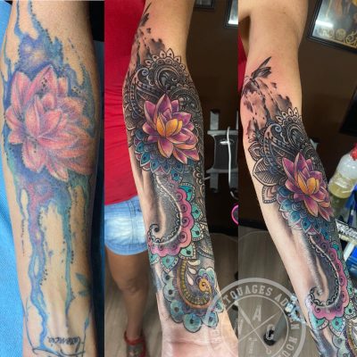 Manche ornementale et lotus en couleur
