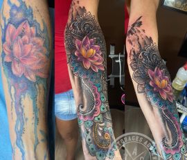 Manche ornementale et lotus en couleur