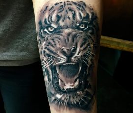 Tigre en noir et gris sur l'avant-bras