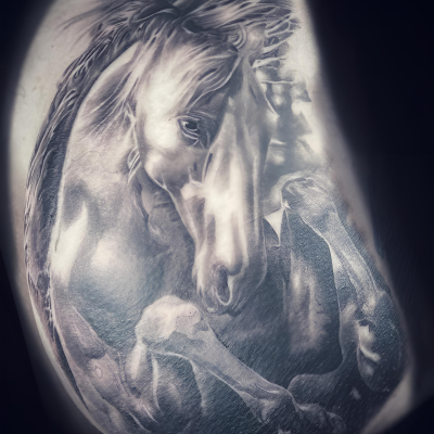 Chevaux en noir et gris, réalisme