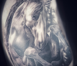 Chevaux en noir et gris, réalisme