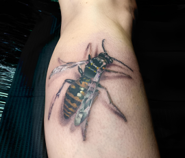 Insecte en couleur sur le bras