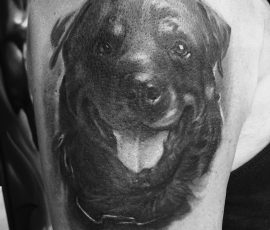Portrait de chien en réalisme noir et gris sur l'épaule