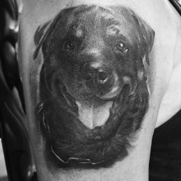 Portrait de chien en réalisme noir et gris sur l'épaule