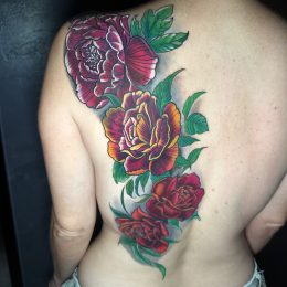 Roses en couleur sur le dos