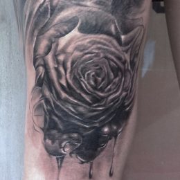 Rose en noir et gris sur le bras