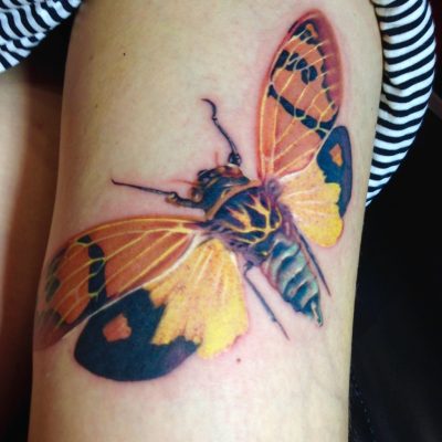 Papillon en couleur sur le bras