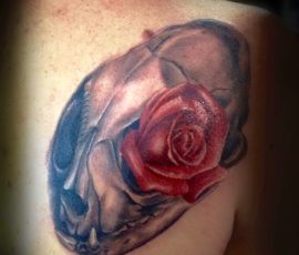 Rose rouge et crâne en couleur sur l'épaule