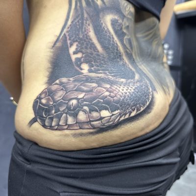 Serpent en noir et gris sur le flanc et la hanche