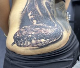 Serpent en noir et gris sur le flanc et la hanche