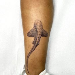 Requin sur le mollet — tatouage par Tony, Nouméa